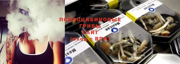 прущие грибы Алексин