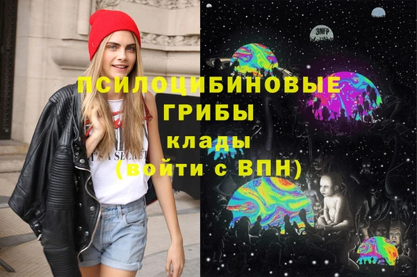 прущие грибы Алексин
